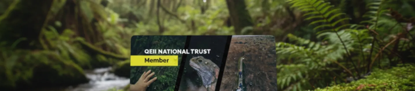 QEII National Trust Partners with Enviricard for Sustainable Membership Cards