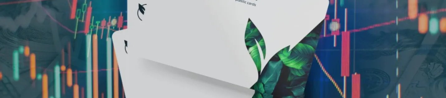 A Guide to enviricard for Finance and Fintech Businesses